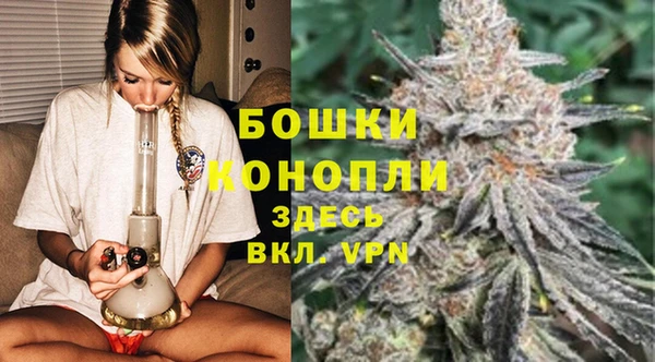 дурь Алзамай