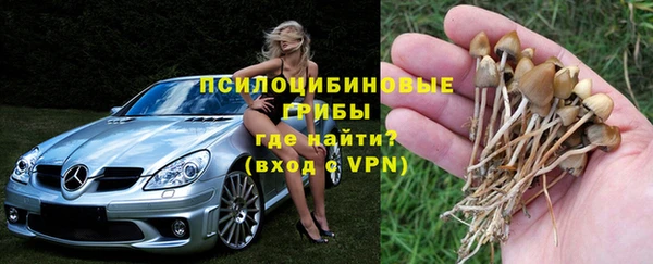 дурь Алзамай