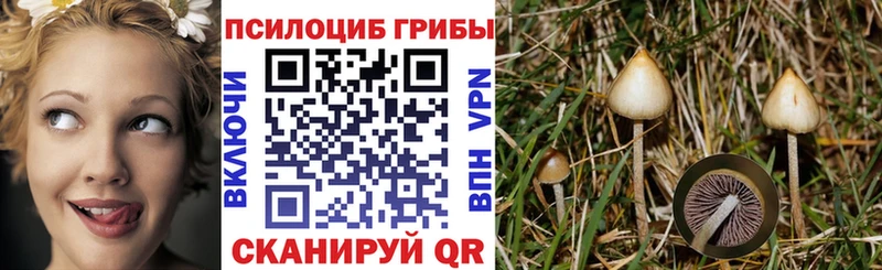 Псилоцибиновые грибы мухоморы  цены   hydra ссылка  Бирюч 